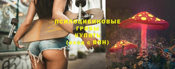 дмт Покровск