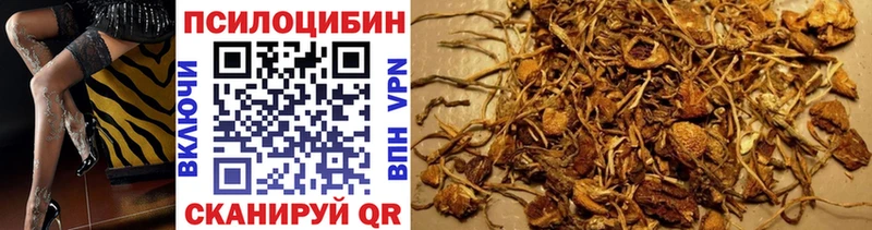 Галлюциногенные грибы Psilocybine cubensis Белореченск